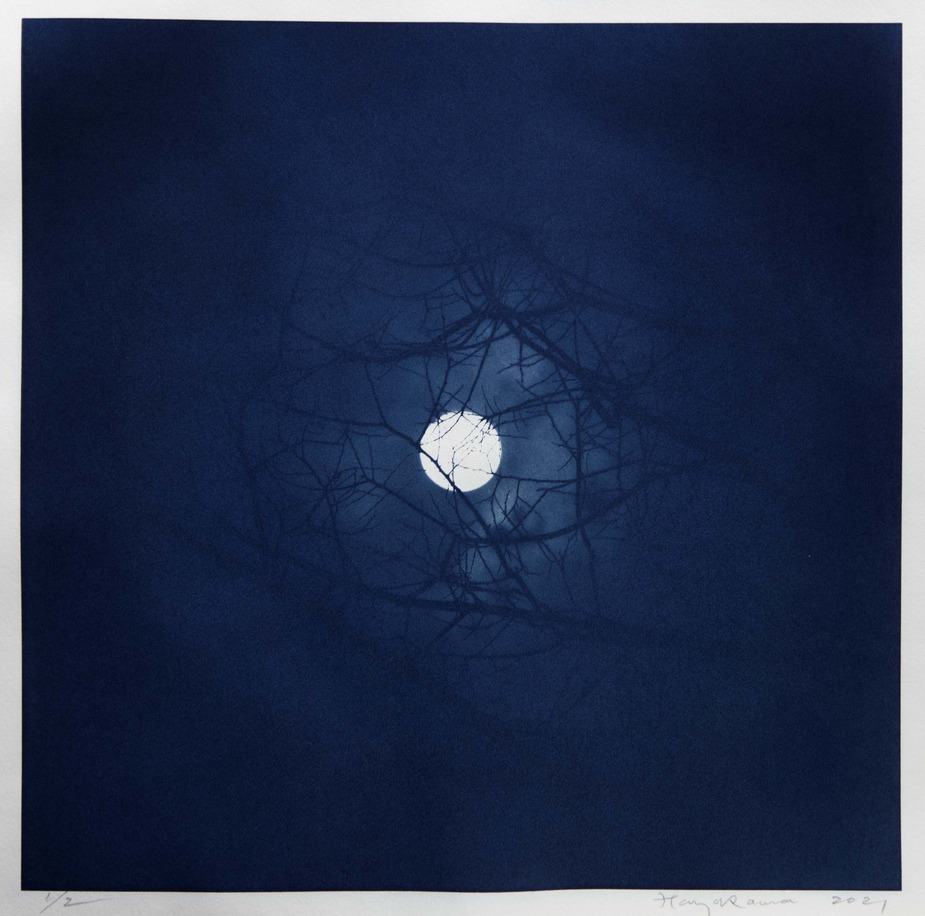 blue moon cyano.jpg